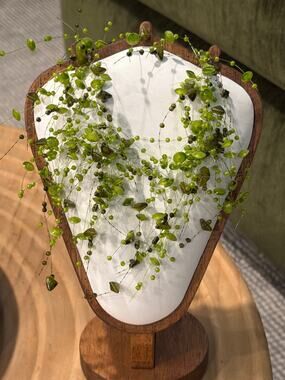 Cascading nature inspired multi strand illusion necklace green